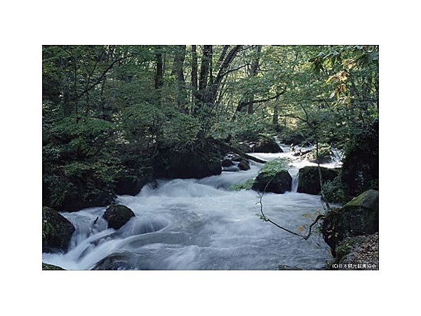 奥入瀬渓流