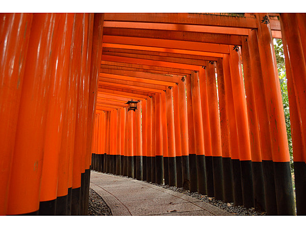伏見稲荷大社