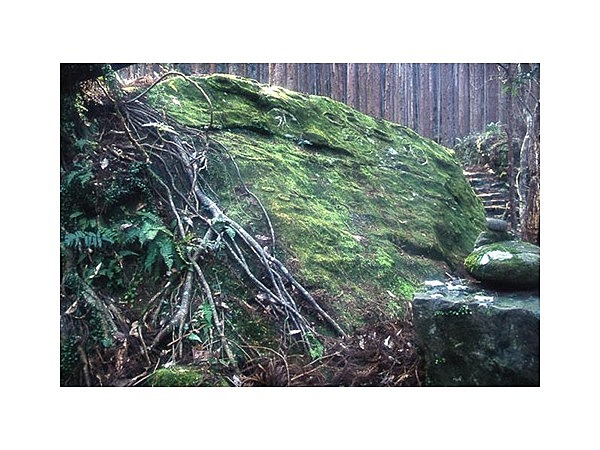 熊野古道大雲取・小雲取街道（熊野古道）