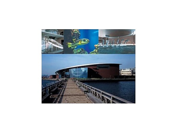 下関市立しものせき水族館・海響館